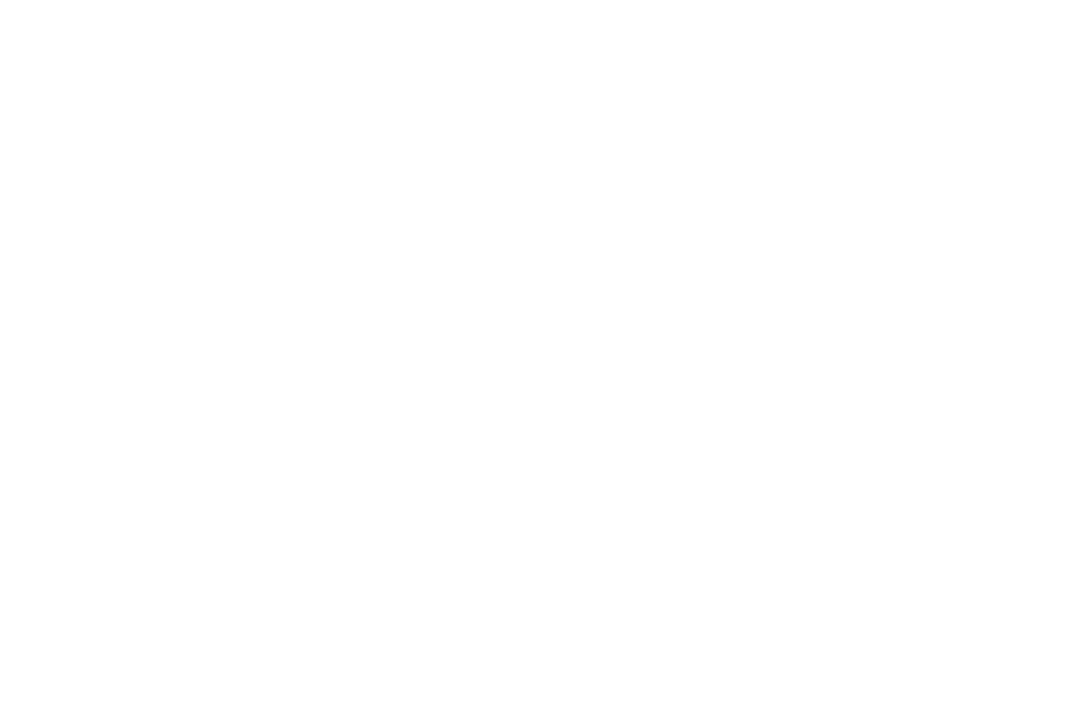 Orchids Bloom